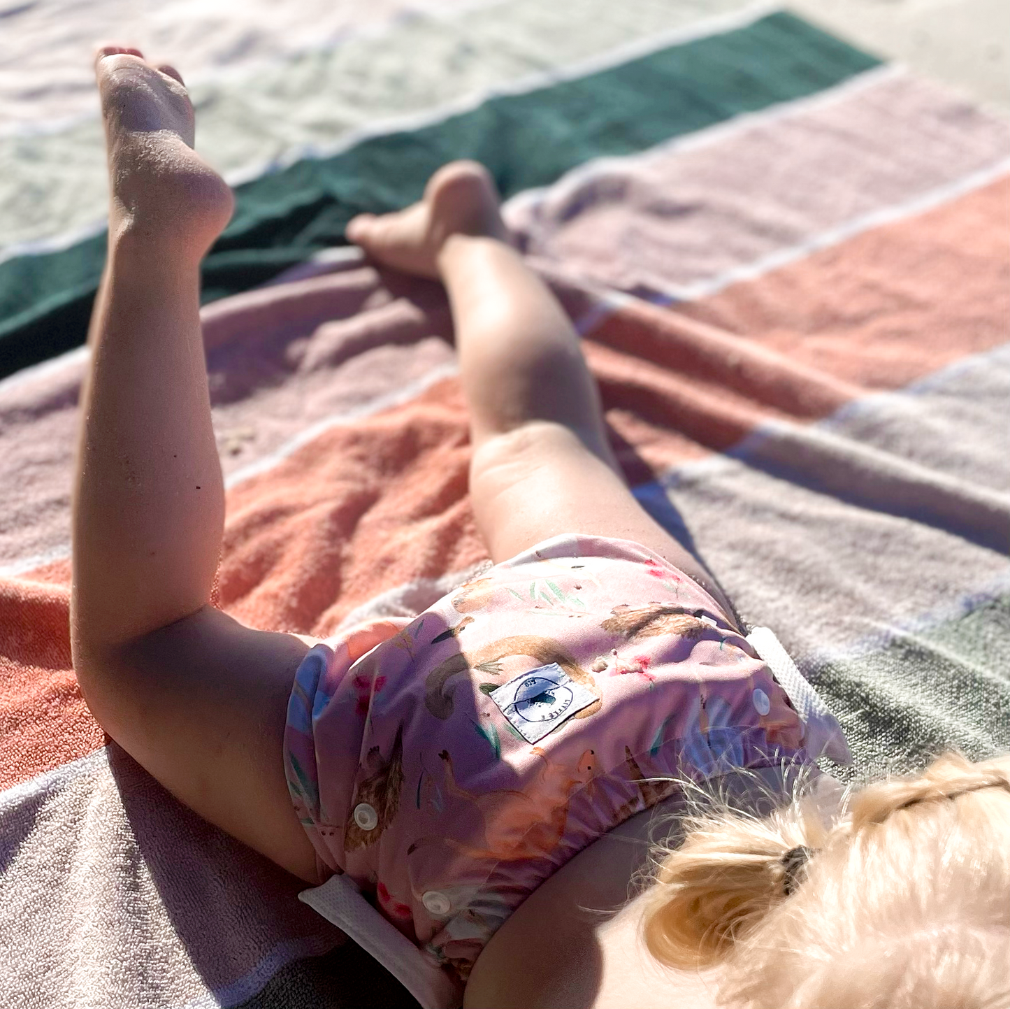 BEACH DAY ESSENTIALS COMBO (SWIM NAPPY) ~ AUS ANIMALS